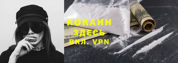 хмурый Покачи