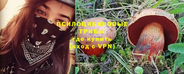 хмурый Покачи