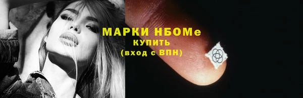 хмурый Покачи