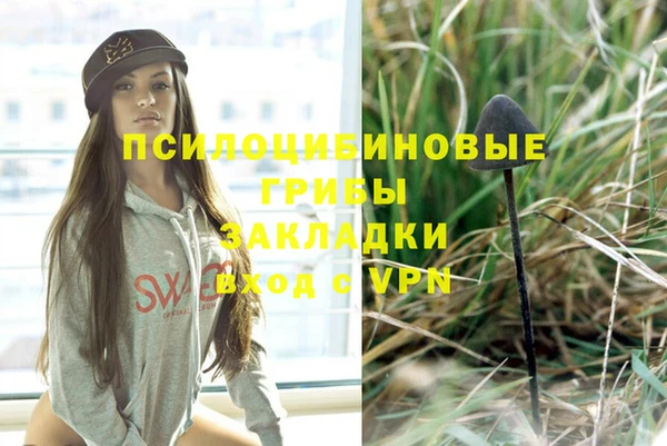хмурый Покачи